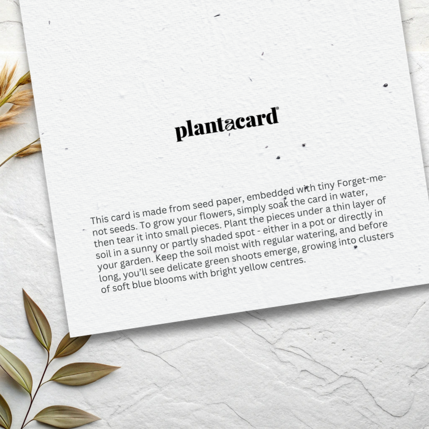 Forget-me-not Plantable Card (MOQ 25)