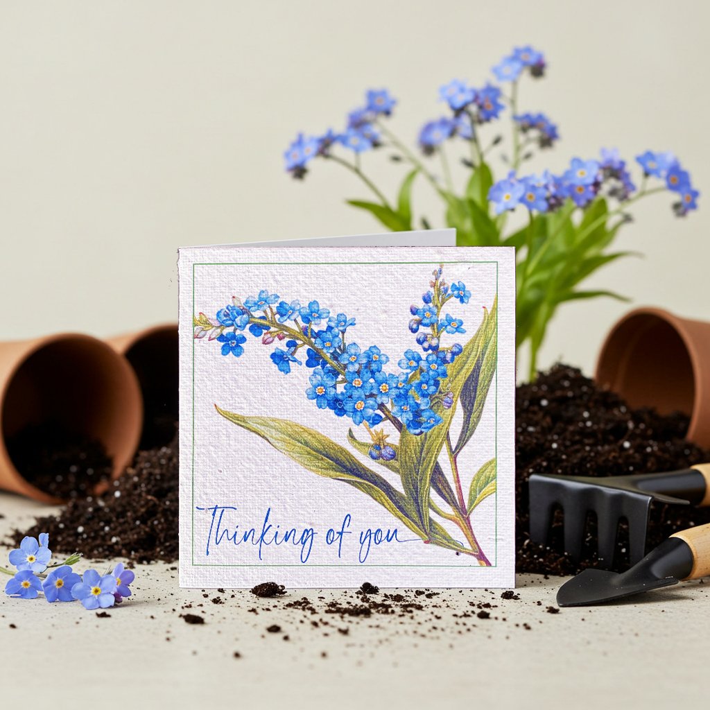 You Gift It, They Grow It! - Plantacard