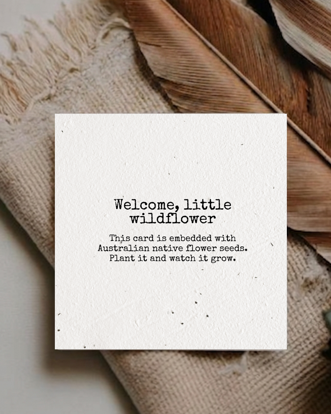 Welcome, little wildflower