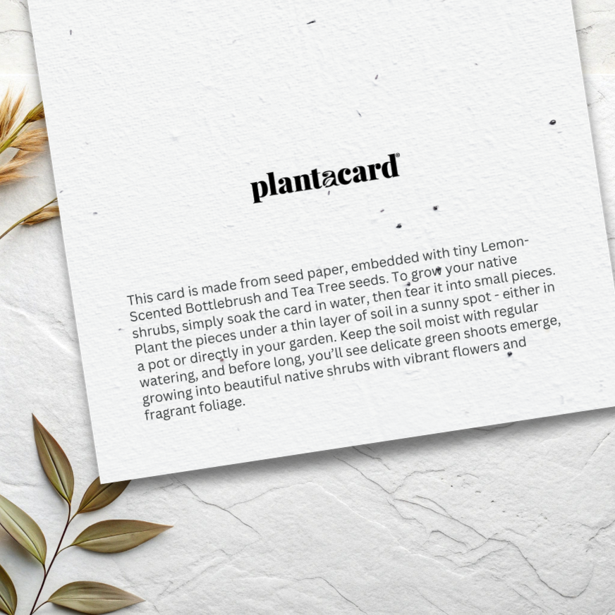 Native Shrub Mix Plantable Card - Bottlebrush + Tea Tree (MOQ 25)