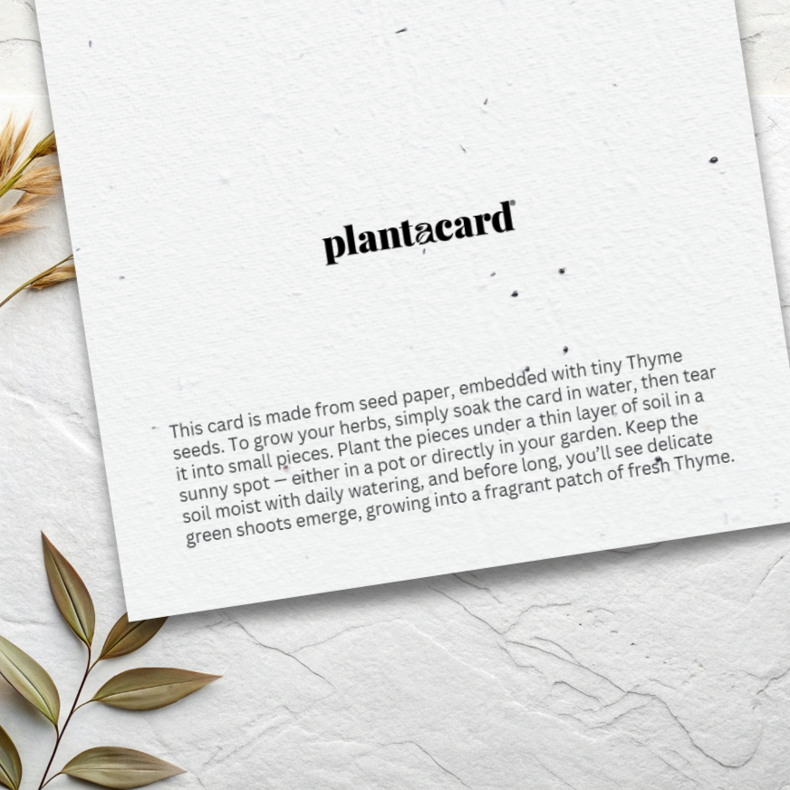 Thyme Plantable Card (MOQ 25)