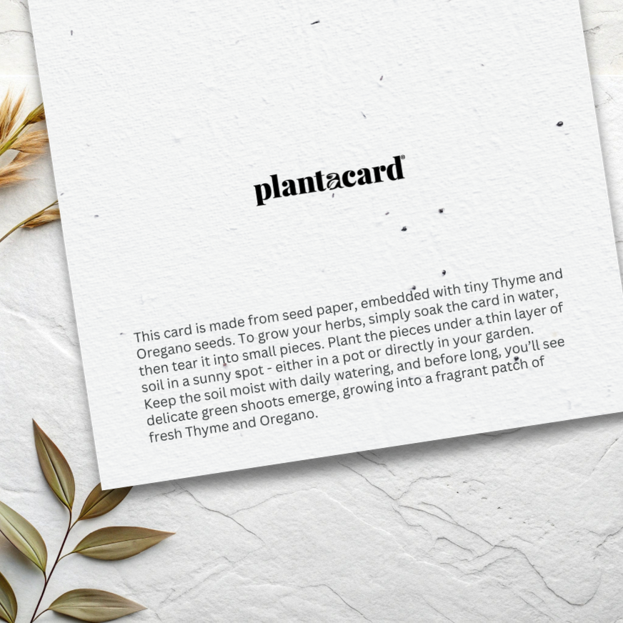 Mixed Herbs Plantable Card - Thyme & Oregano (MOQ 25)