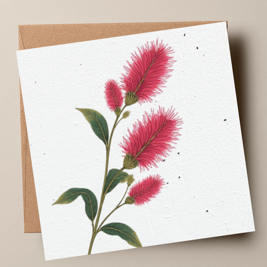 Lemon-Scented Bottlebrush Plantable Card (MOQ 25)
