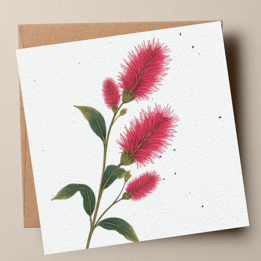 Lemon-Scented Bottlebrush Plantable Card (MOQ 25)