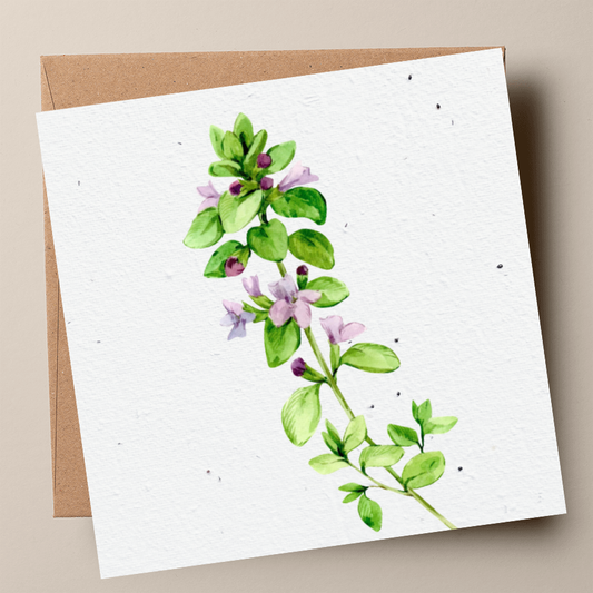 Thyme Plantable Card (MOQ 25)