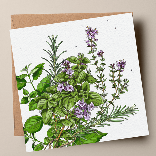 Mixed Herbs Plantable Card - Thyme & Oregano (MOQ 25)