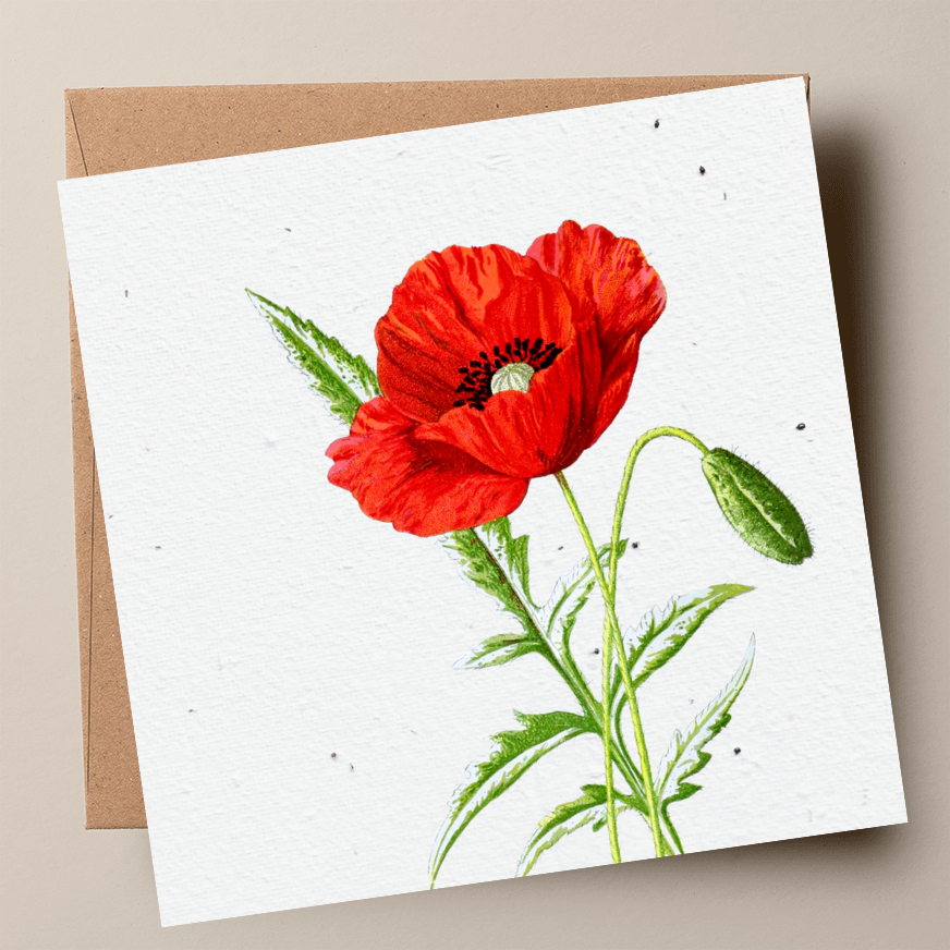 Poppy Plantable Card (MOQ 25)