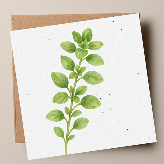 Oregano Plantable Card (MOQ 25)