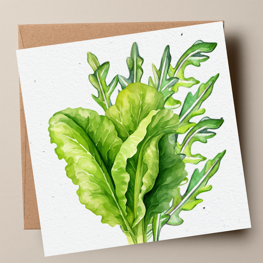 Mixed Salad Plantable Card - Lettuce & Wild Rocket (MOQ 25)