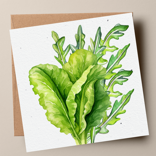 Mixed Salad Plantable Card - Lettuce & Wild Rocket (MOQ 25)