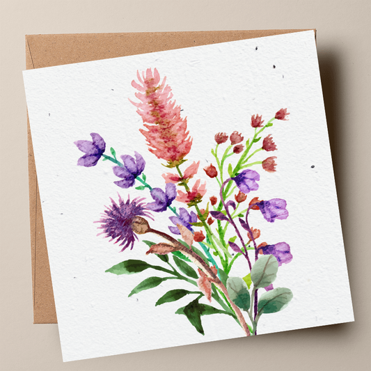 Native Shrub Mix Plantable Card - Bottlebrush + Tea Tree (MOQ 25)