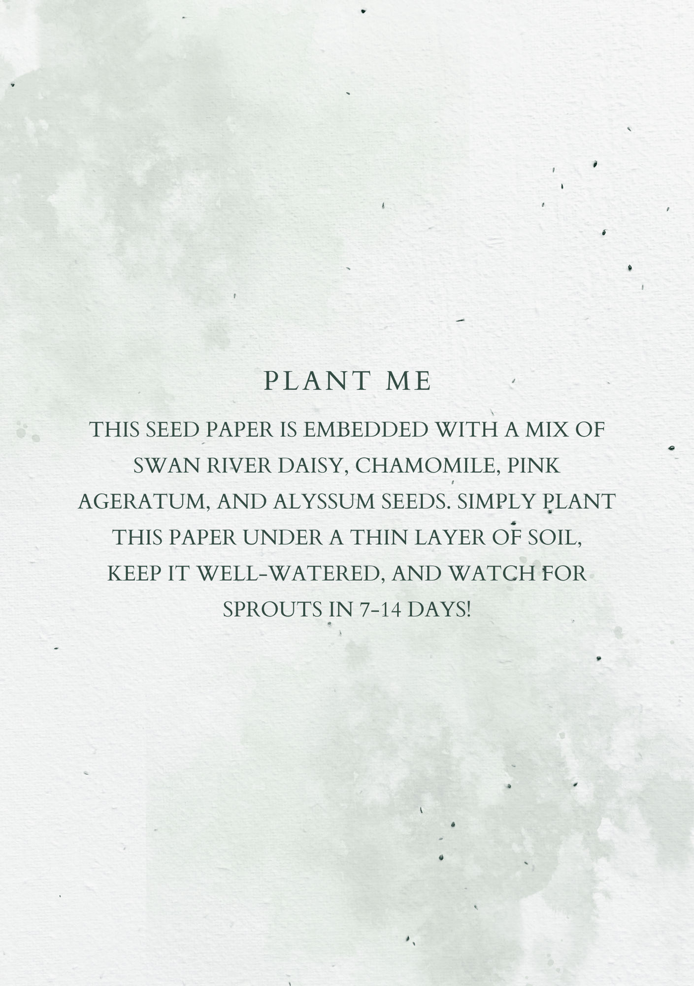 Botanical Garden Plantable Wedding Invitation | A5 Seed Paper 🌿💍 - Plantacard