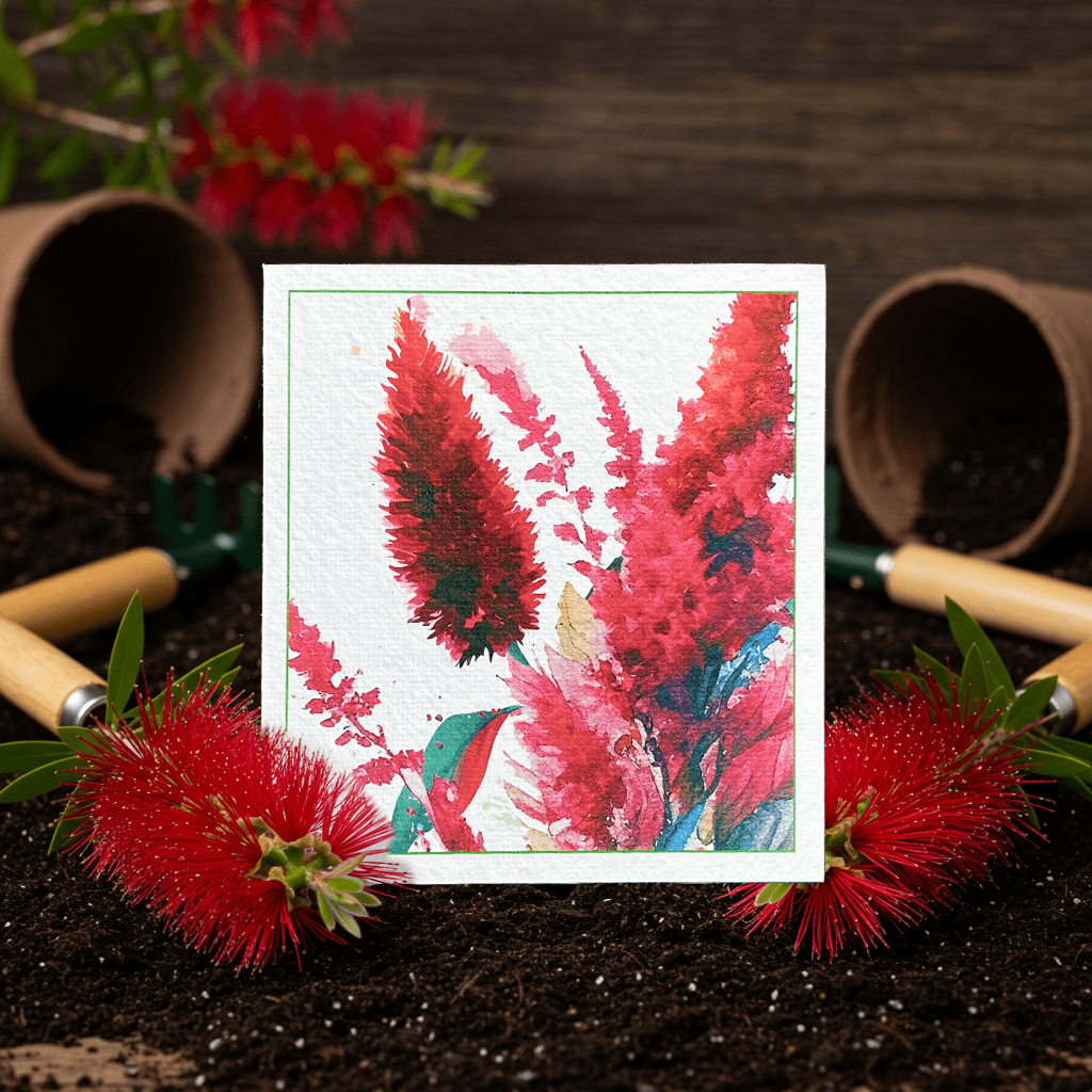 Bottlebrush Beauty Plantable Card - Plantacard