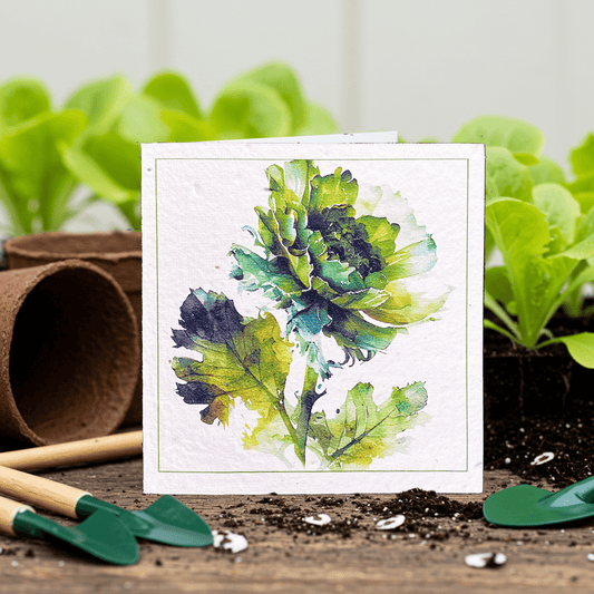 Lettuce Grow Plantable Card - Plantacard