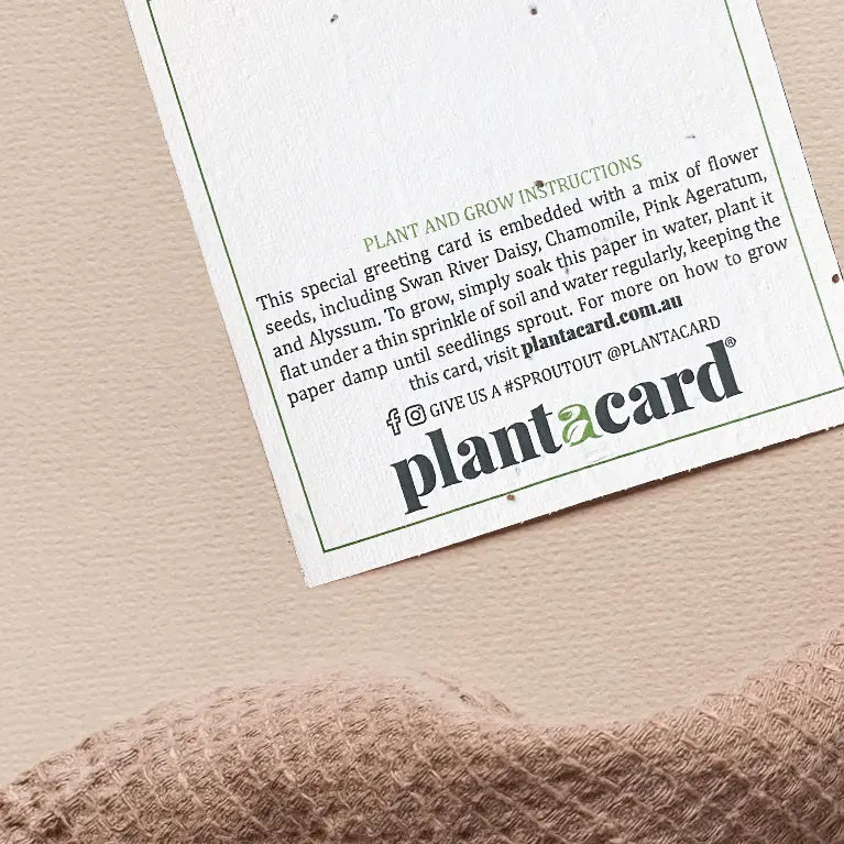 THANKS A BUNCH🌱Plantacard 10pk (Mixed Flowers) - Plantacard