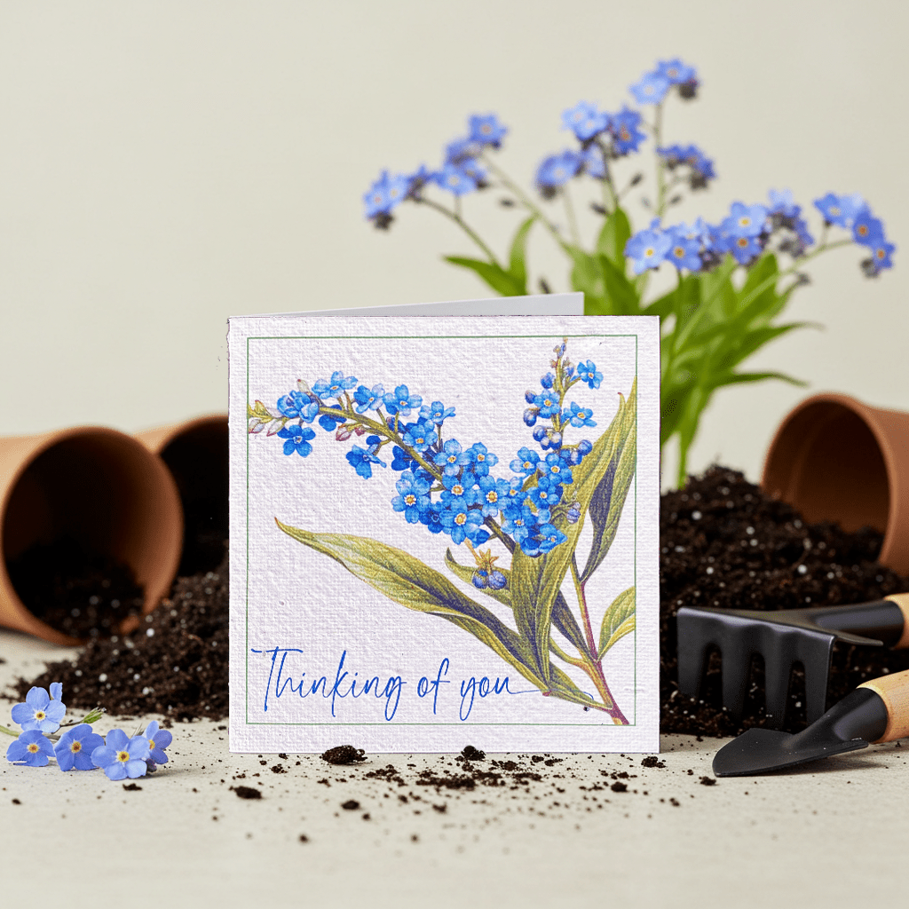 Thinking of You Plantable Card - Plantacard